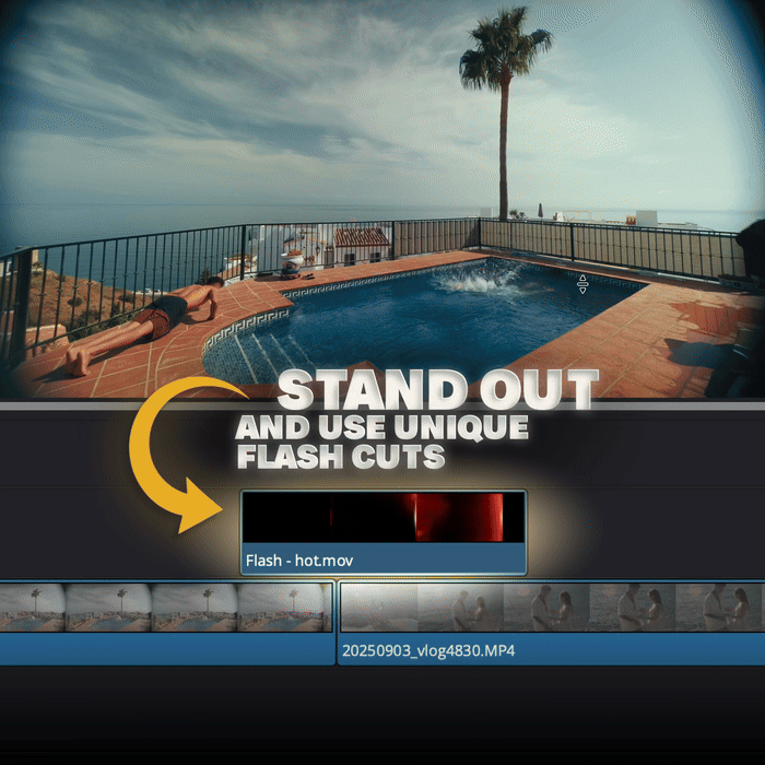 Everyday Editing Assets