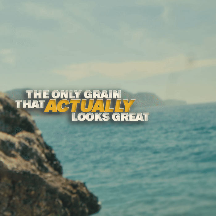 Everyday Editing Assets