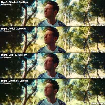 OneFilm Luts